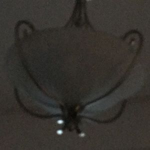 Meet your Posher, Anne